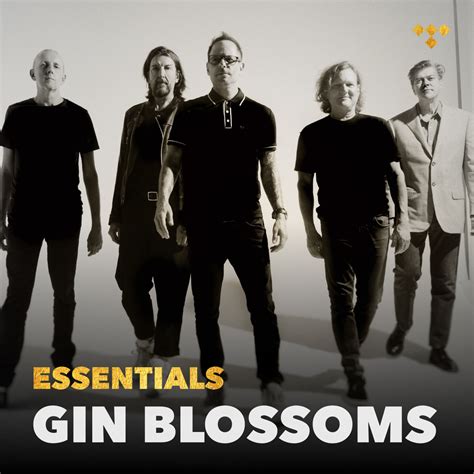 ‎Gin Blossoms Essentials .